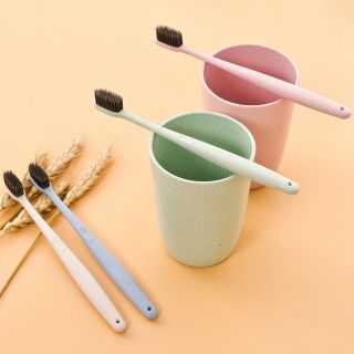 Bàn chải đánh răng lúa mạch có hộp