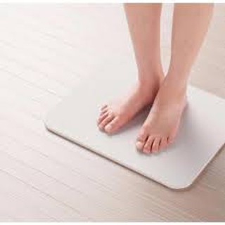 Thảm cứng Nhật Bản siêu thấm 40x60cm