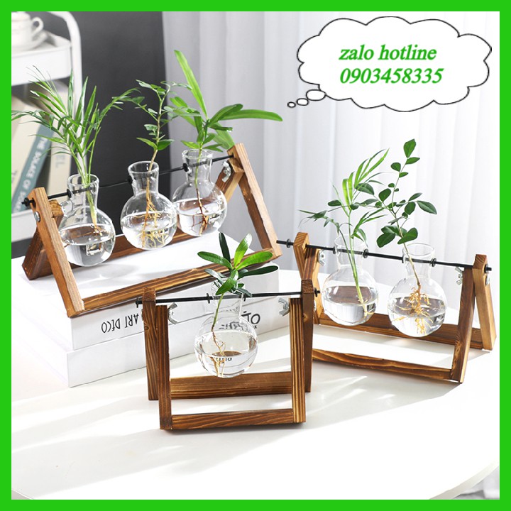 Lọ thủy tinh trồng cây thủy canh kèm đế gỗ