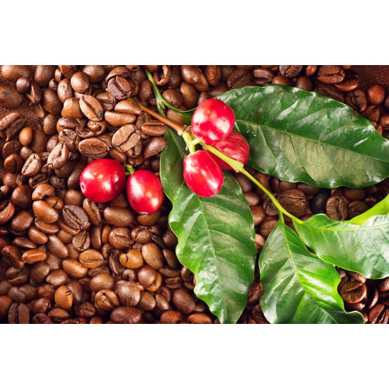 (2 Gói 500gr) Cà Phê Nguyên Chất Rang Mộc ARABICA Cầu Đất Đà Lạt - BDN Coffee