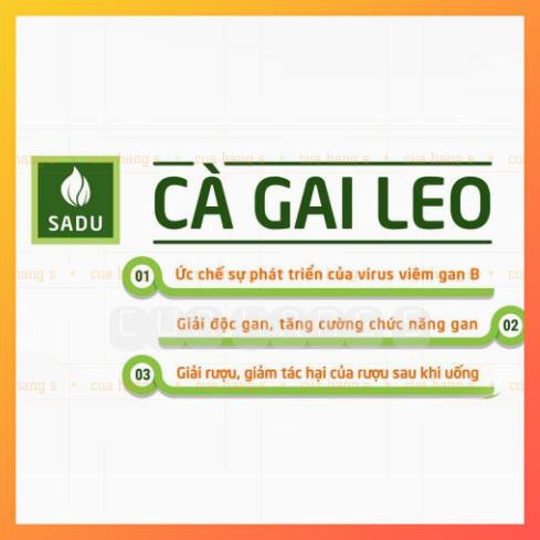 Trà túi lọc Cà Gai Leo SADU 250g hỗ trợ điều trị về gan (ATTP)