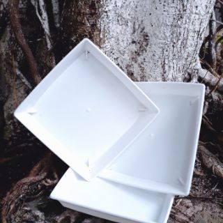 Khay (Đĩa) Lót Chậu Cây Phi 15cm