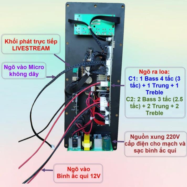 Mạch loa kéo TPA3116D2 150W LIVESTREAM - DSP lập trình chống hú loa kéo 4 – 3 tấc ĐƠN hoặc 3 – 2.5 tấc ĐÔI