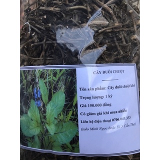 Cây đuôi chuột phơi khô 2 ký ( miễn phí vận chuyển )