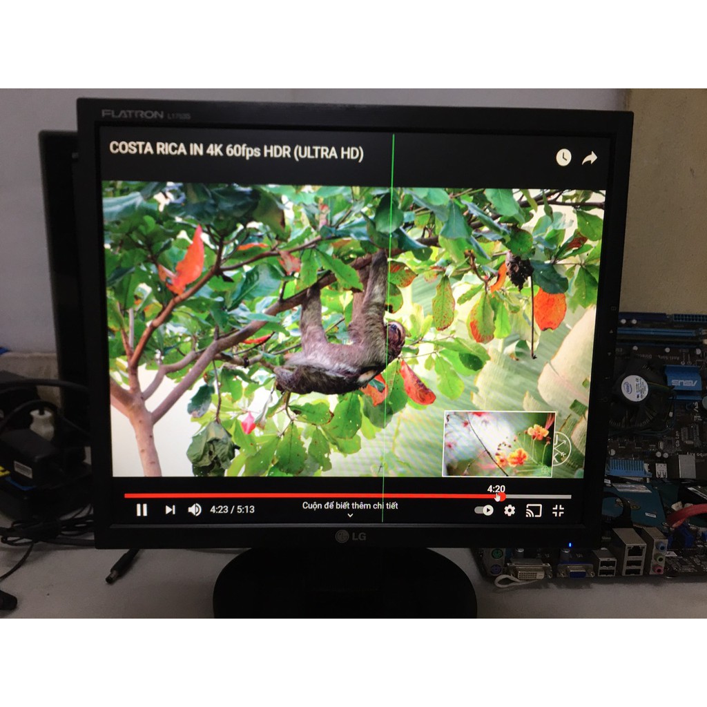 Giá rẻ màn hình LG 17'' inch Vuông | BigBuy360 - bigbuy360.vn