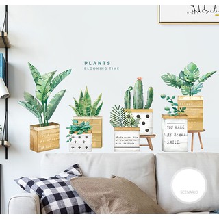 Decal dán tường chậu cây hộp