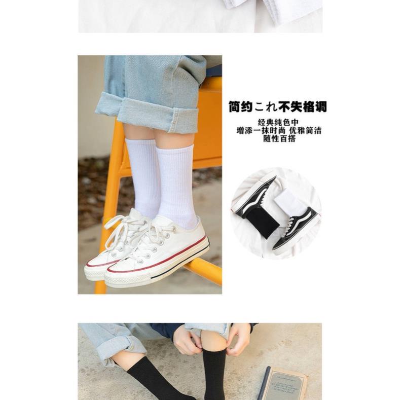 Tất Nam Nữ Cổ Cao Chất Liệu Cotton Mềm Mại Thoáng Mát Cao Cấp