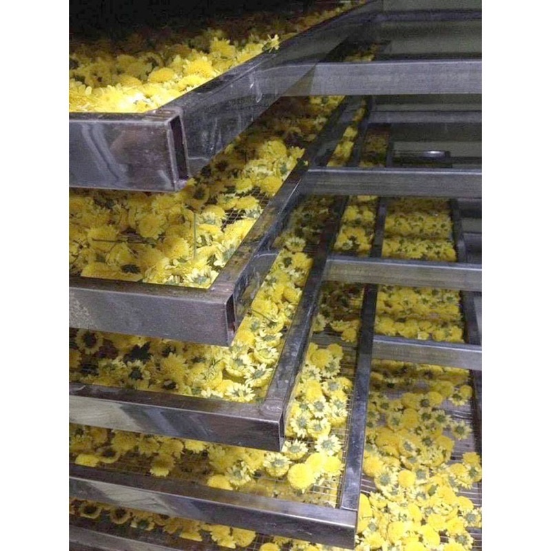 200g Hoa cúc vàng sấy khô nguyên chất nguyên bông