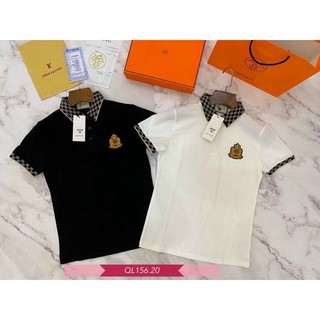 Áo Phông Polo Nam Cổ Bẻ, Áo Thun Nam Cá Sấu Thêu Logo CG Trước Ngực Chất Liệu Vải Cá Sấu Cao Cấp - AC44 - Shopmens