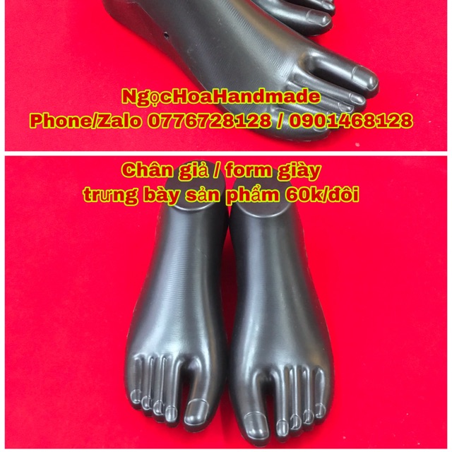 Form trưng bày giày