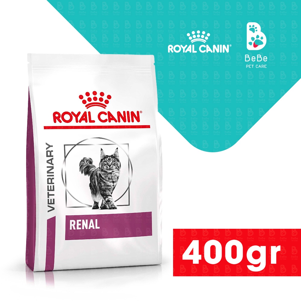 [2Kg] Hạt ROYAL CANIN Renal Hỗ Trợ Chức Năng Thận Cho Mèo