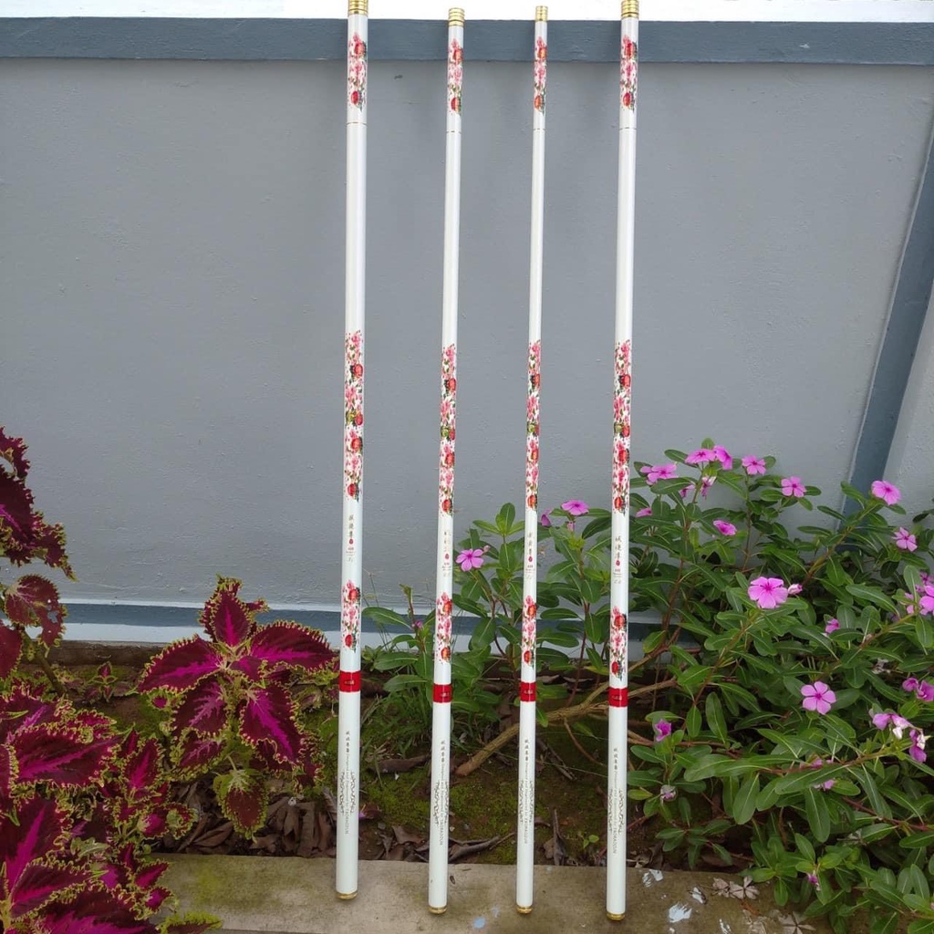 Cần Câu Tay Bạch Hồng 6H - cao cấp tải cá khỏe_ Cần Câu Đài