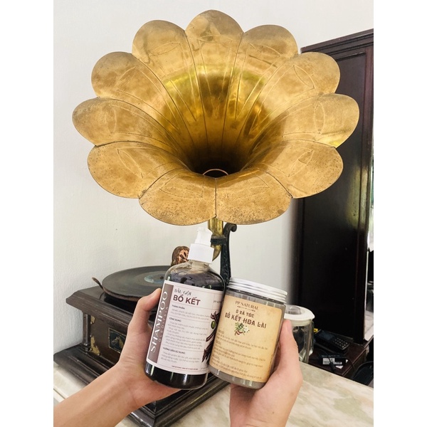 Dầu gội và ủ bồ kết