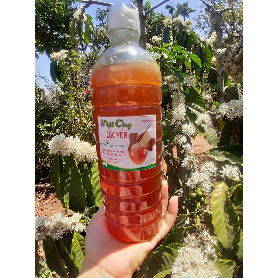 1 lít Mật Ong Cà phê Nguyên Chất  - Đổi Trả Nếu Không Hài Lòng 100% Pure & Fresh Organic Raw Honey i