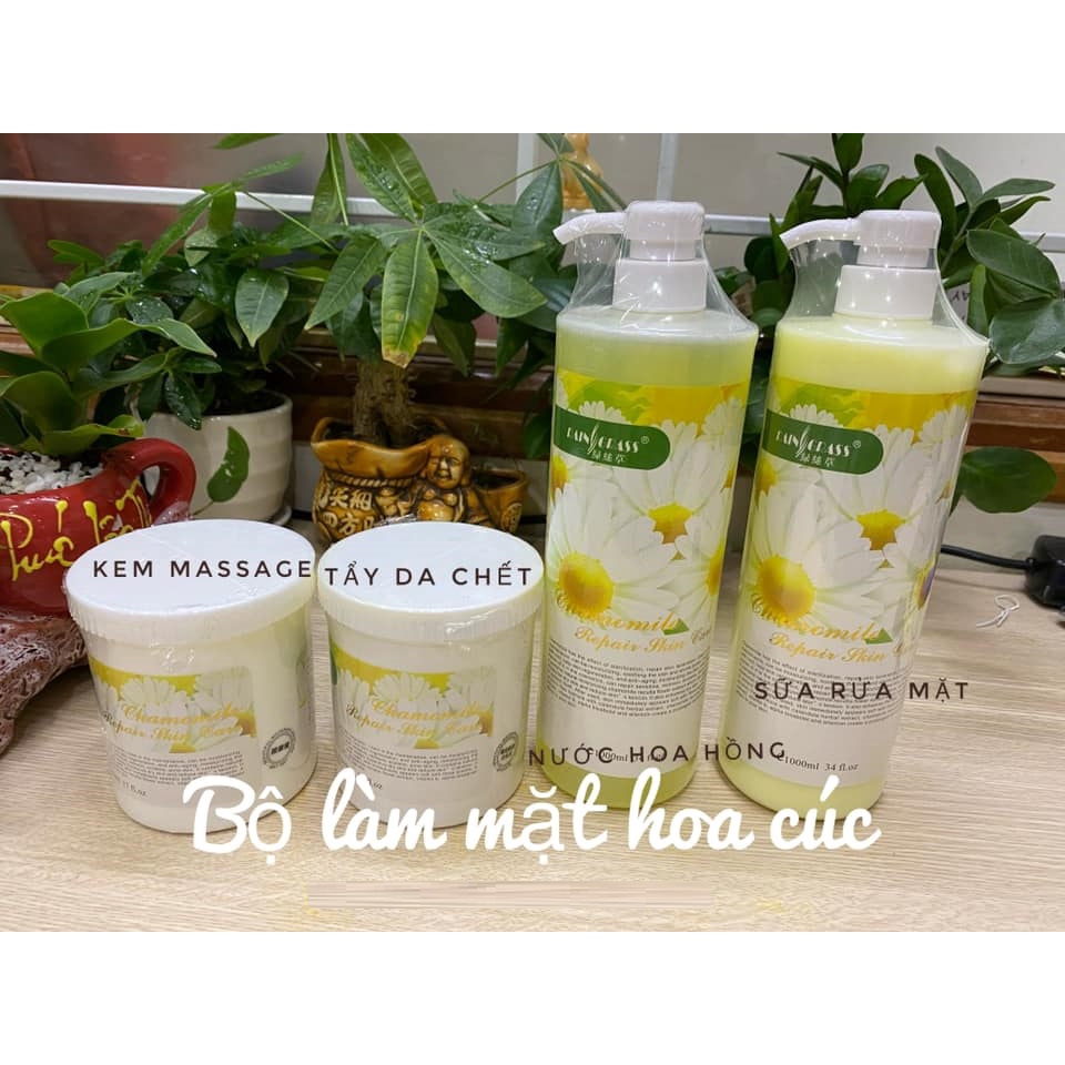 Bộ chăm sóc da hoa cúc gồm kem massage, tẩy da chết, sữa rửa mặt, nước hoa hồng chuyên dùng spa