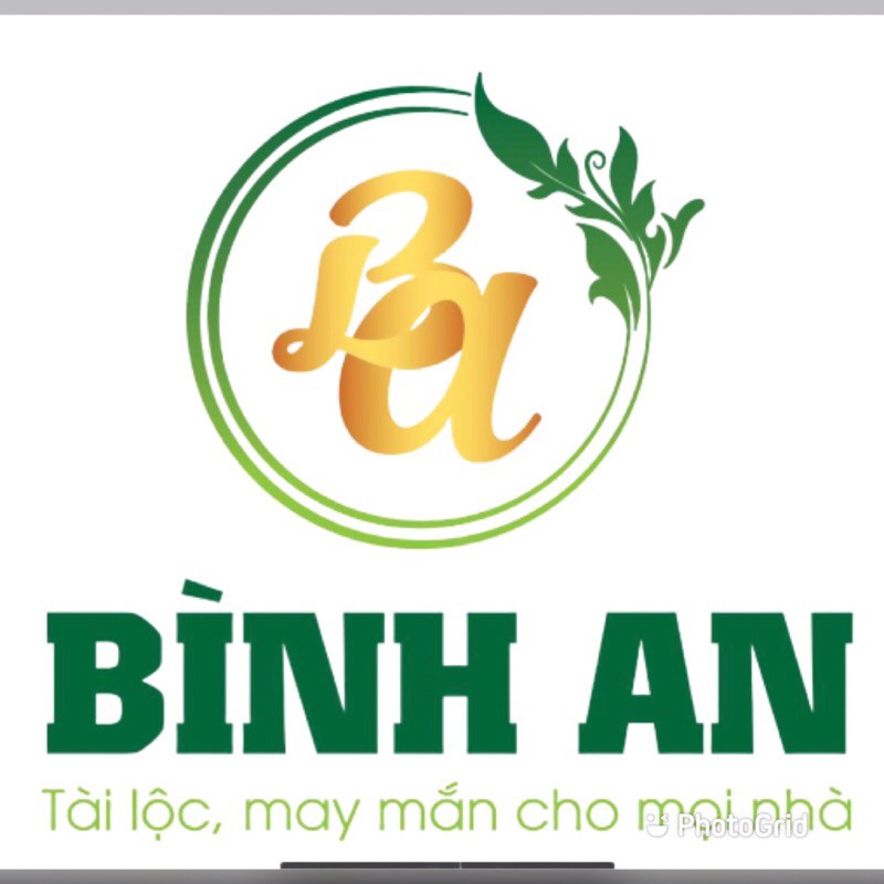 Nhang xông phong thủy bình an ( hàng 9 hãng có mã vạch ) | BigBuy360 - bigbuy360.vn