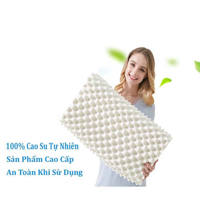 Gối cao su non Ventry cao cấp nhập khẩu Thái Lan