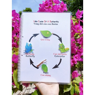 Học liệu bóc dán vòng đời
