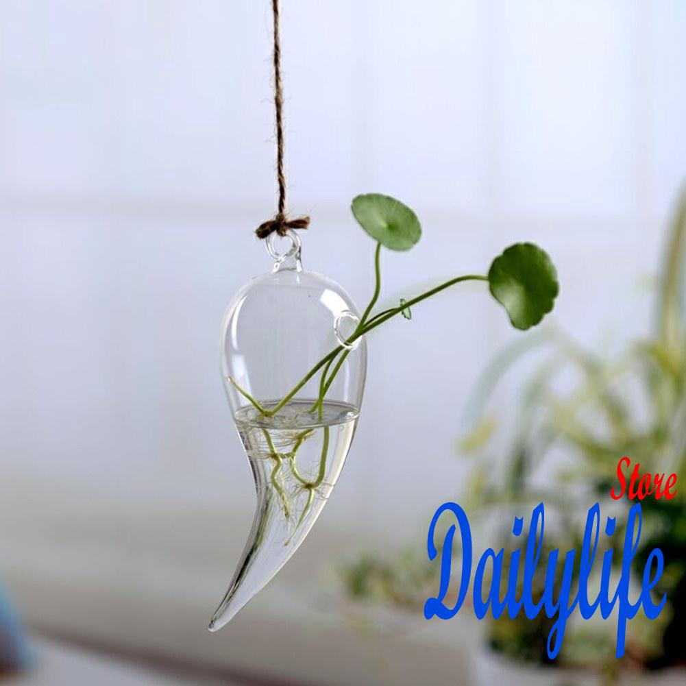 Lọ Hoa Thủy Tinh Dạng Treo Dễ Thương Để Trang Trí Nhà