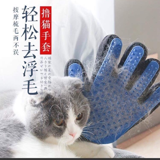 Gang tay chải lông chó mèo