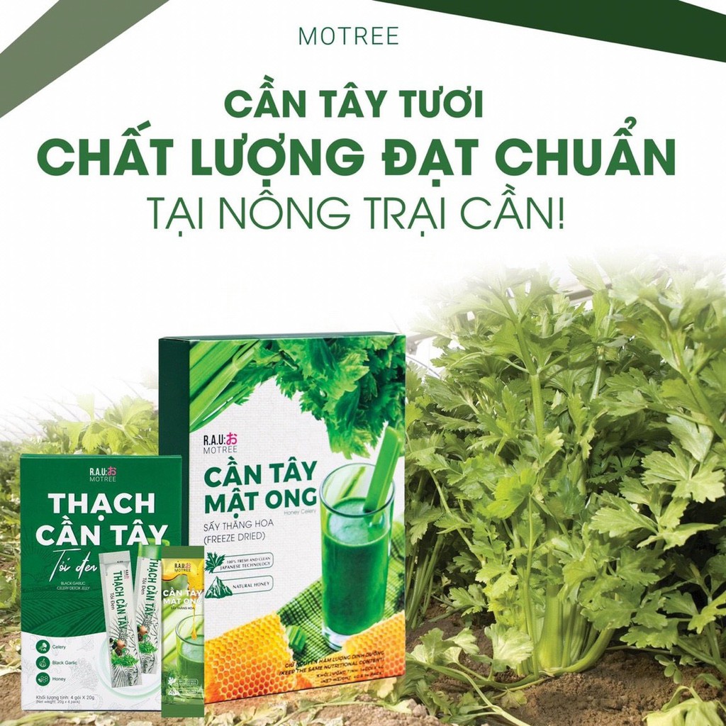[CHÍNH HÃNG] Bột cần tây, cần tây Mật Ong Motree, hộp 14 gói, giúp giảm cân, dáng đẹp, thanh lọc cơ thể | BigBuy360 - bigbuy360.vn