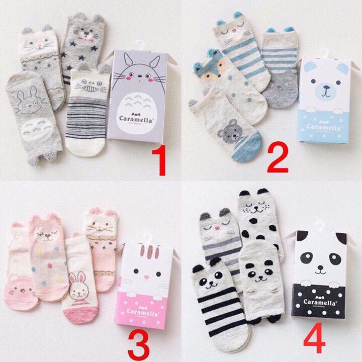 Set tất hộp caramella