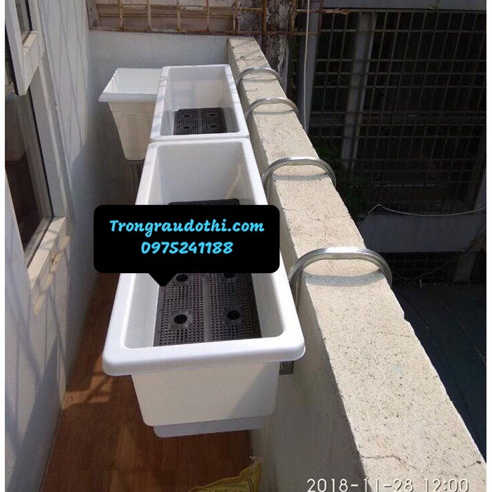 Móc treo chậu trồng cây dành cho tường 10  - chưa bao gồm chậu
