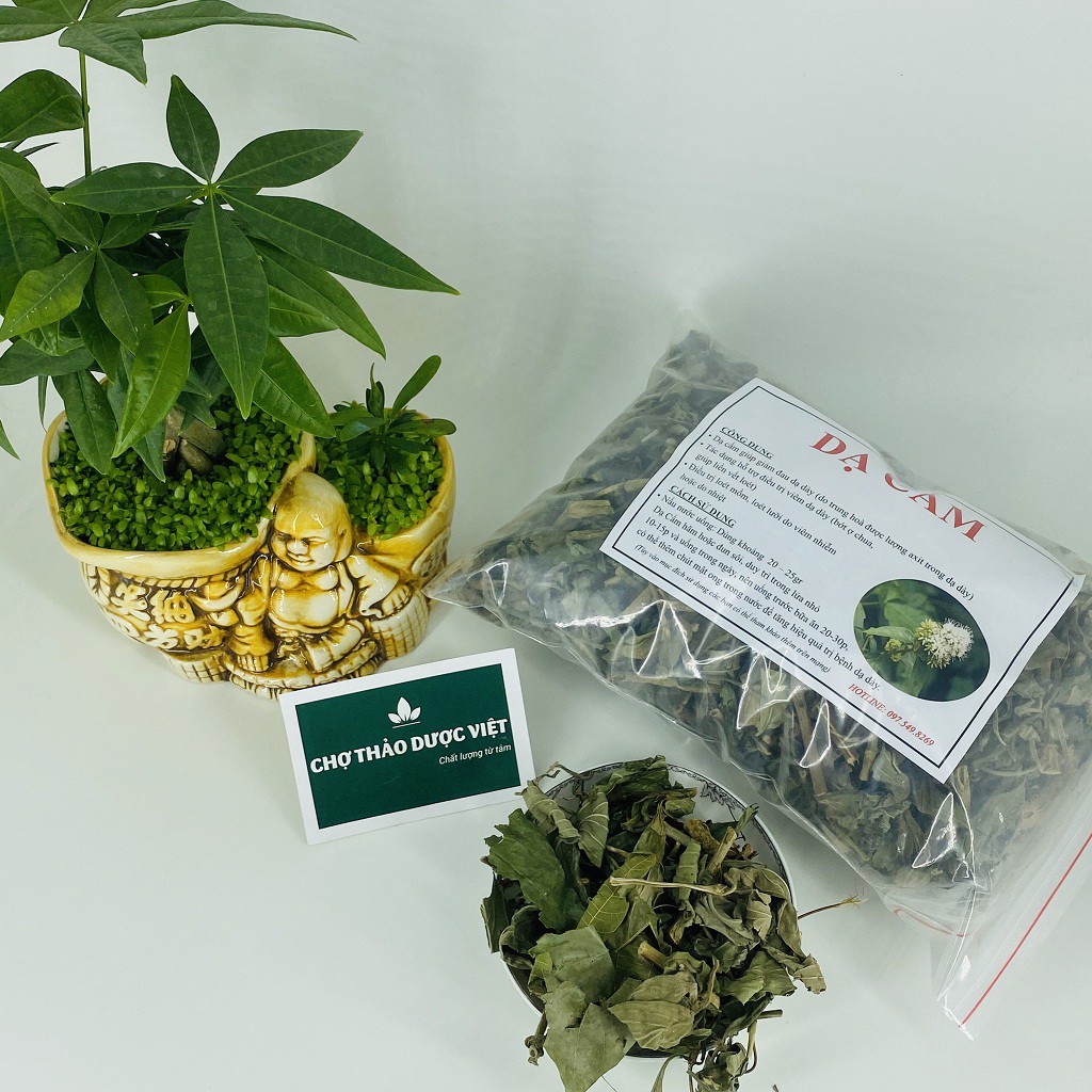 Dạ cẩm 1kg (Xanh, Thơm, Sạch) - Chợ Thảo Dược Việt