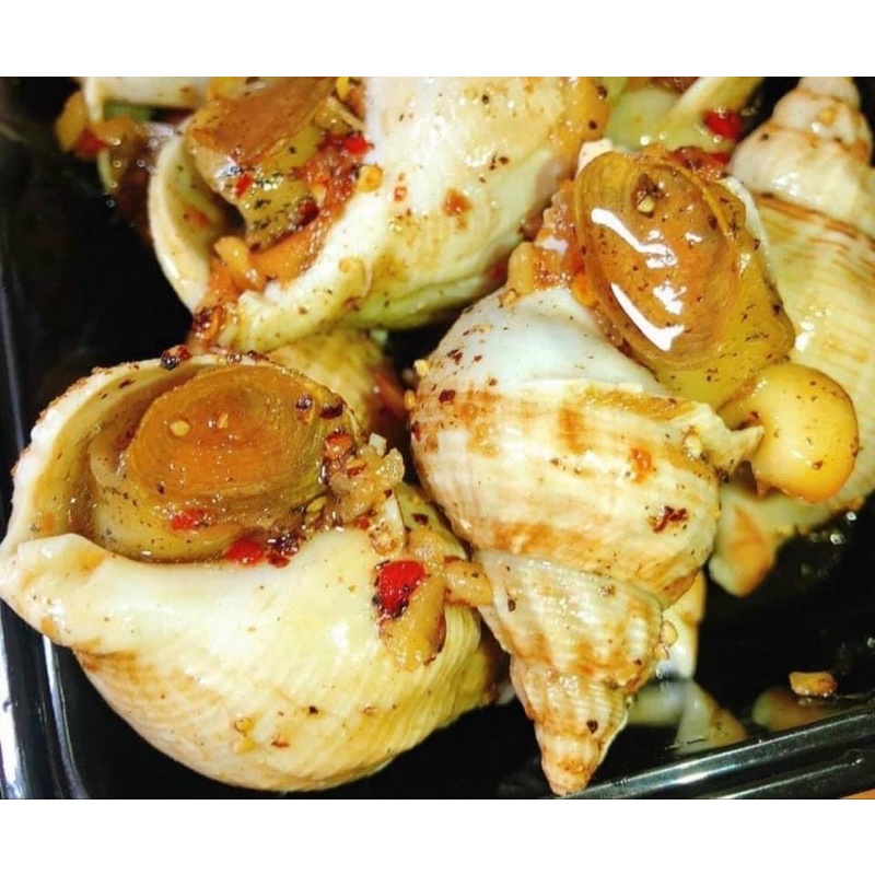 [HỎA TỐC SG] Ốc bulot Pháp (Bullot) lớn tươi ngon hấp sả rang muối 500g