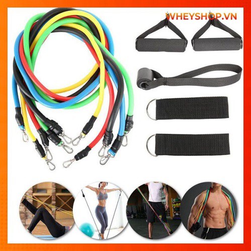 [ 𝑯𝑨̀𝑵𝑮 𝑳𝑶𝑨̣𝑰 1 ] Bộ 5 Dây Ngũ Sắc Tập Full Body 11 𝑴𝑶́𝑵  Dụng Cụ Tập Gym dụng cụ tập kháng lực tại nhà