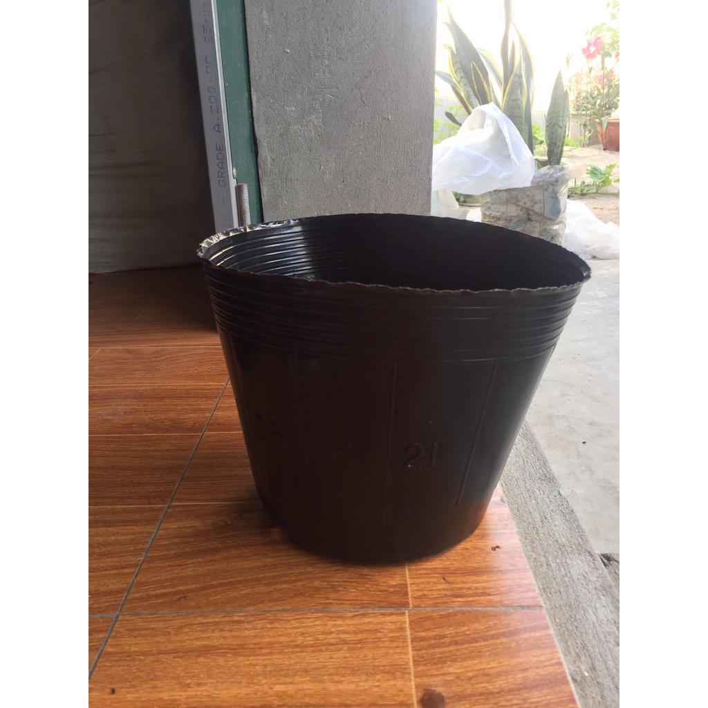 BẦU ƯƠM CÂY 26*21 DÀY VÀ MỎNG ( DỊCH TRUYỀN CHO CÂY, KÍCH RỄ , MẦM CÂY XANH LÁ, LƯỚI CHE NẮNG...)