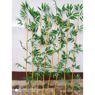 Cây trúc giả trang trí