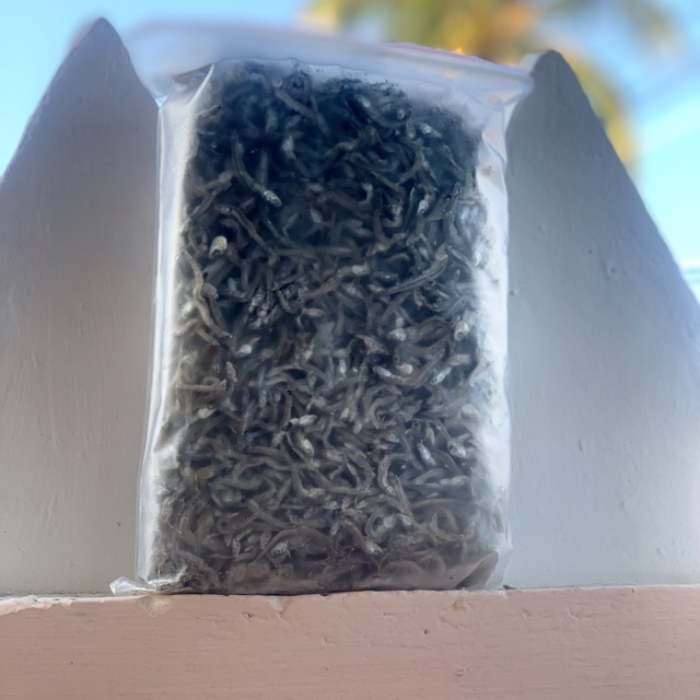 Đặc Sản Khô Khánh Hòa