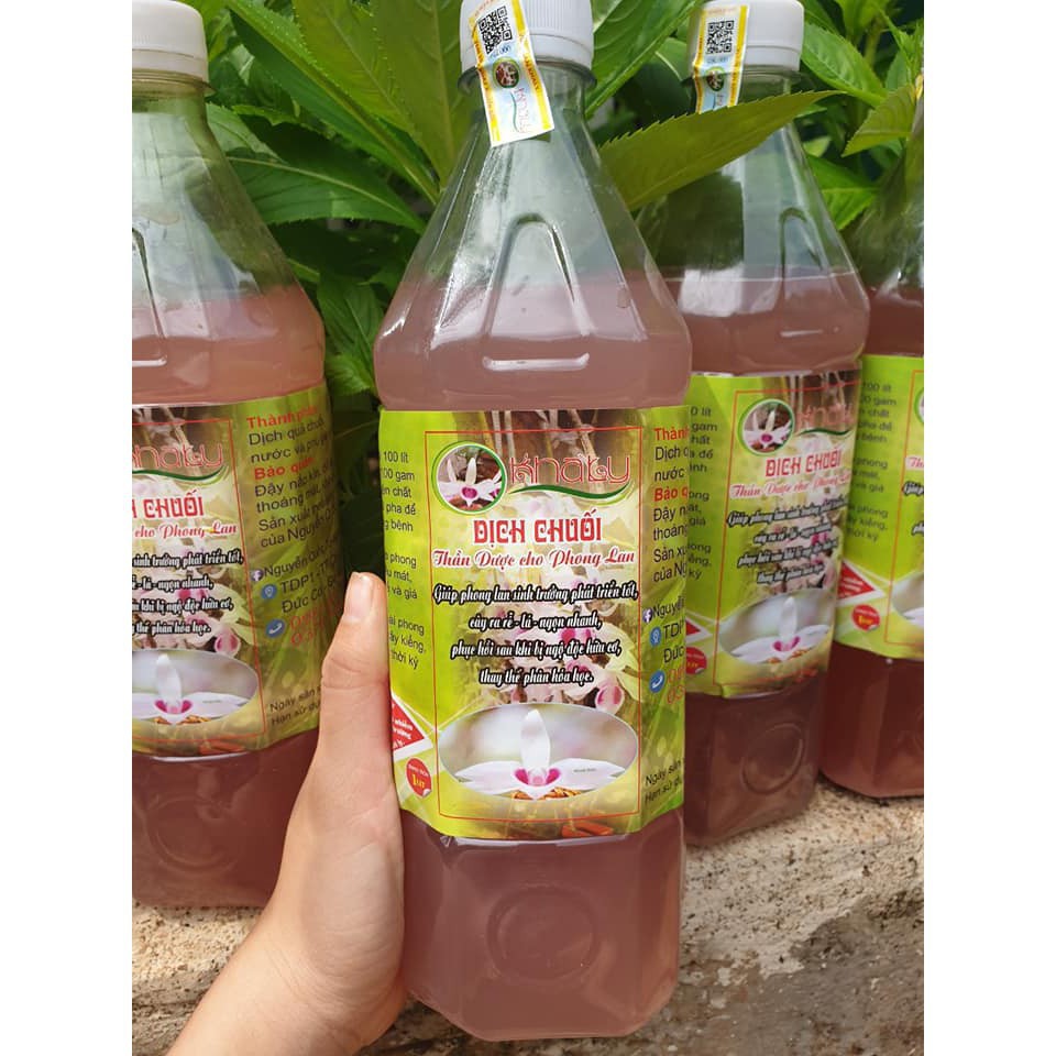 Dịch chuối nguyên chất Thần Dược cho phong Lan, hoa kiểng 1lit