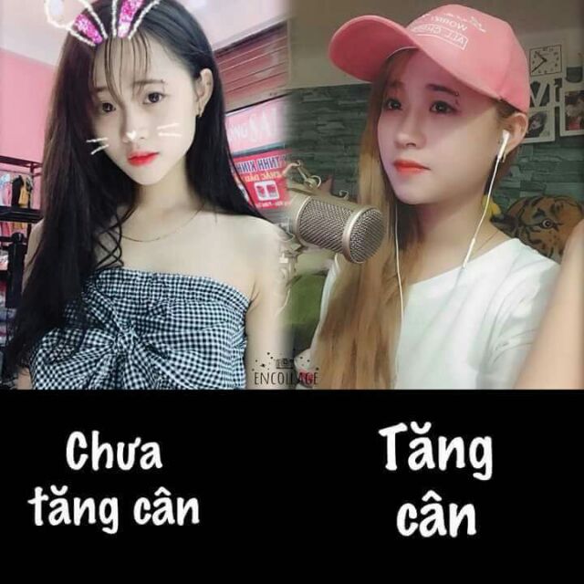 Trà tăng cân Mộc Chi