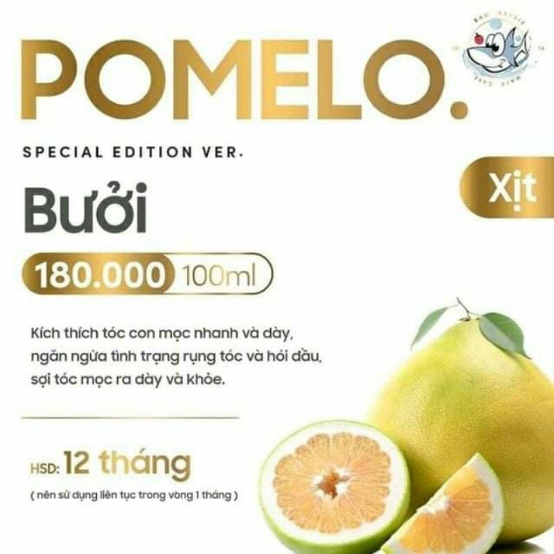 Pro POMELO Hair Mist - Xịt Bưởi Kích Mọc Tóc x2 (Handmade)