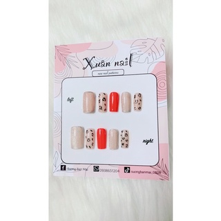 Bộ móng tay giả nailbox thiết kế X-HT002