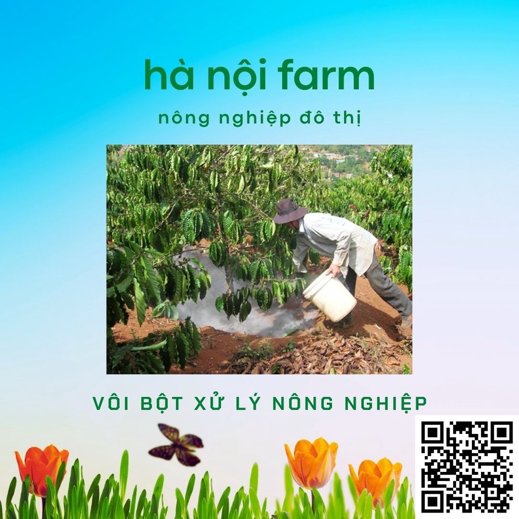 Vôi bột sát khuẩn và cải tạo đất