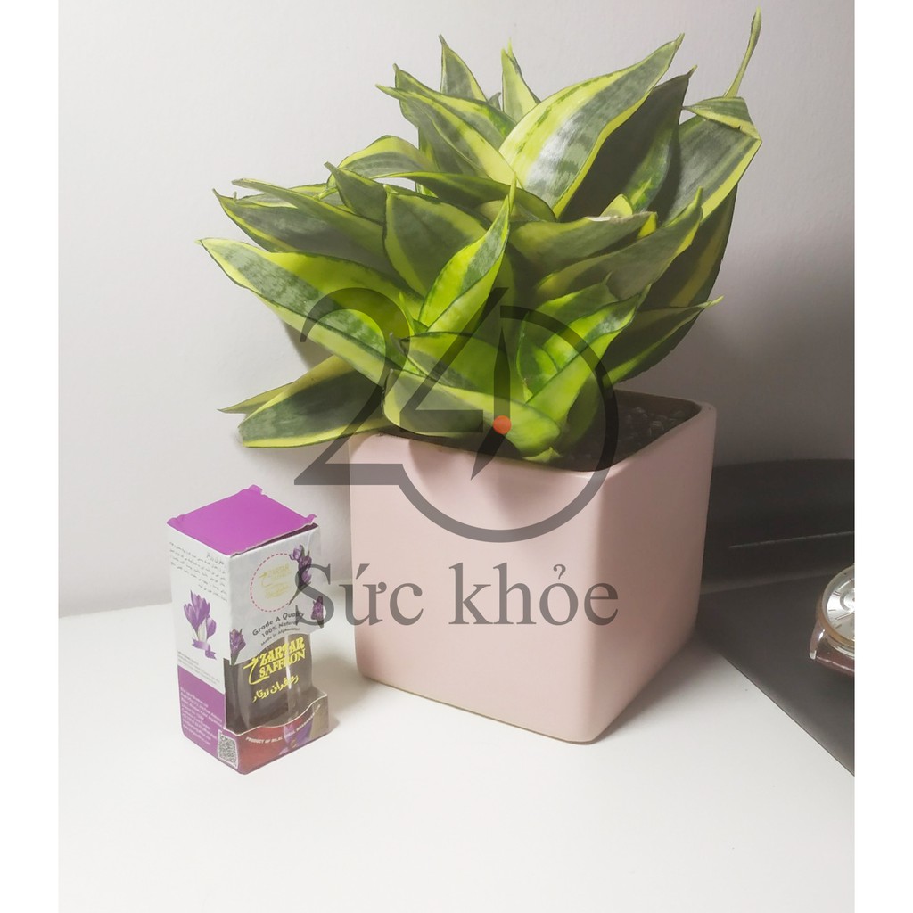 Nhụy hoa nghệ tây Saffron | BigBuy360 - bigbuy360.vn