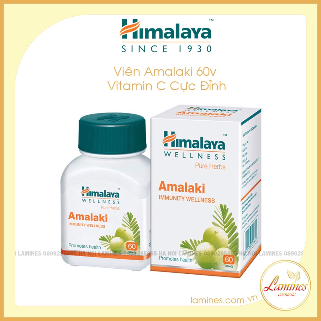 Viên Uống Bổ Sung Vitamin C - Himalaya Amalaki 60V