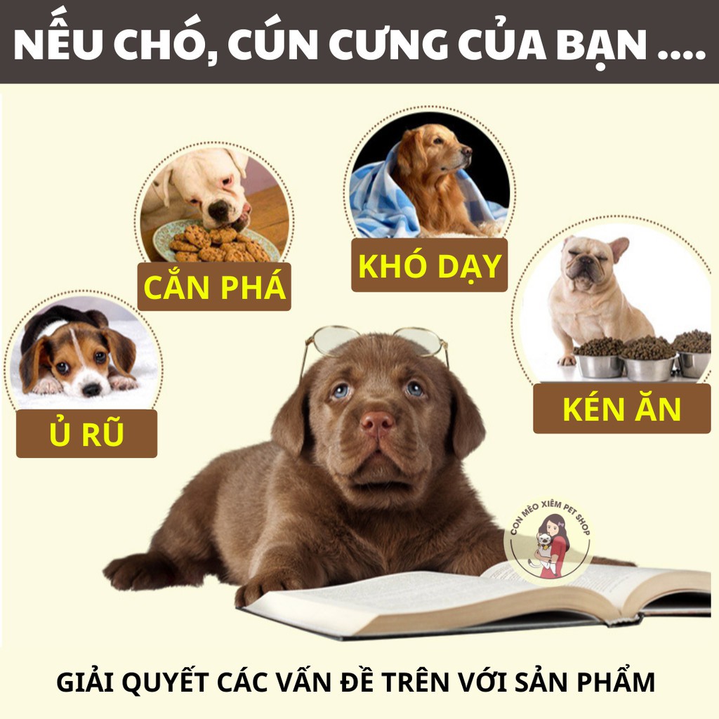 ( SHOP 1 ) ( Hàng sẵn ) Bánh cho chó làm sạch răng dinh dưỡng 100gr - Thức ăn bánh thưởng huấn luyện tăng cân cho cún mè