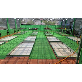 Vỉ nhựa lót sàn chống trơn nhà tắm ( cam kết y hình )