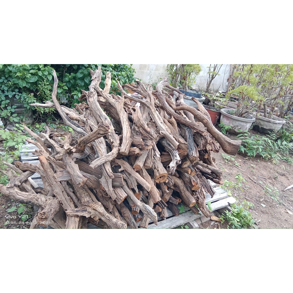 Lũa San Đá Cành - 1KG| Chuyên dùng cho bể cá Thủy Sinh, Bể Cá - Vân Lũa Cực Đẹp, Set bể Cực Bền