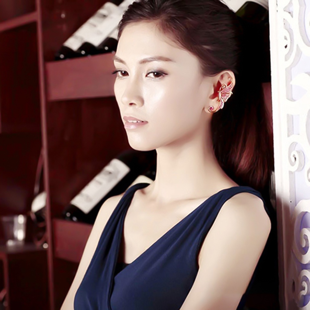 Một chiếc khuyên tai hình bướm đính đá thời trang cho nữ