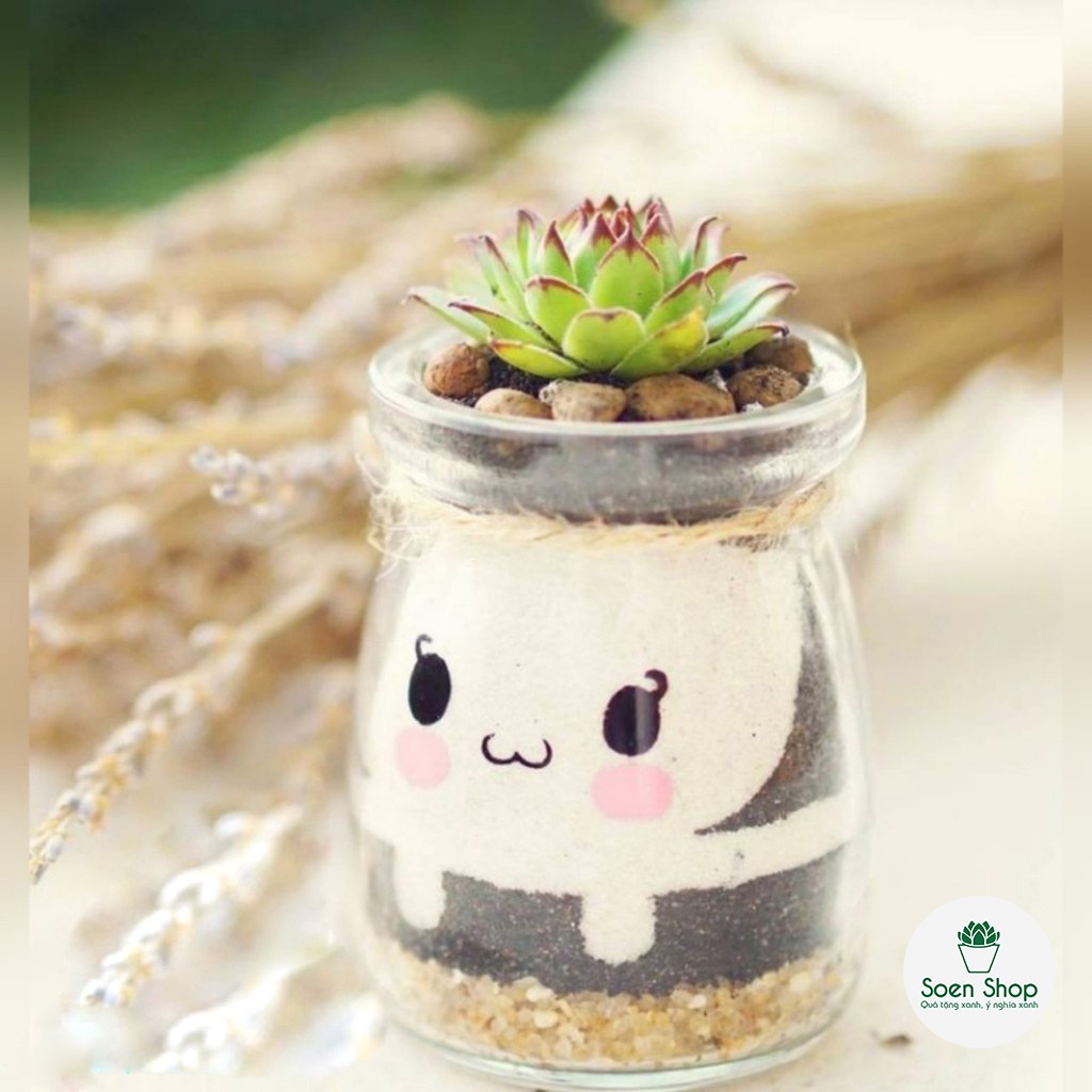 Cát màu trang trí tiểu cảnh sen đá, xương rồng, cẩm nhung, chậu cây mini, terrarium, hồ cá - Nhiều màu