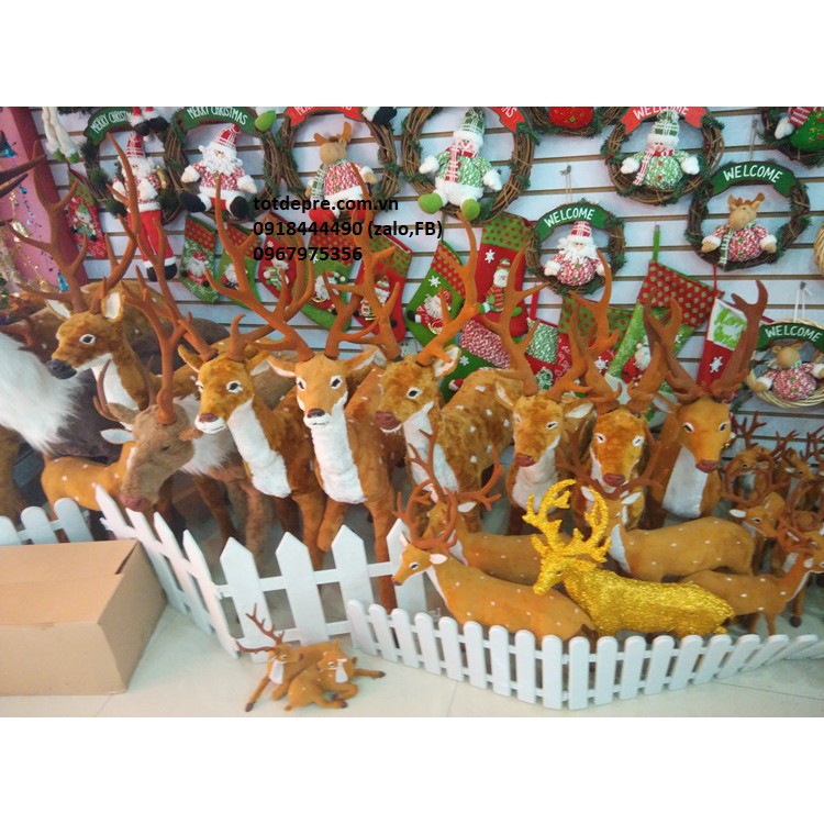 Tuần lộc nhung (Nai nhung) trang trí Giáng Sinh - Hươu của ông già Noel