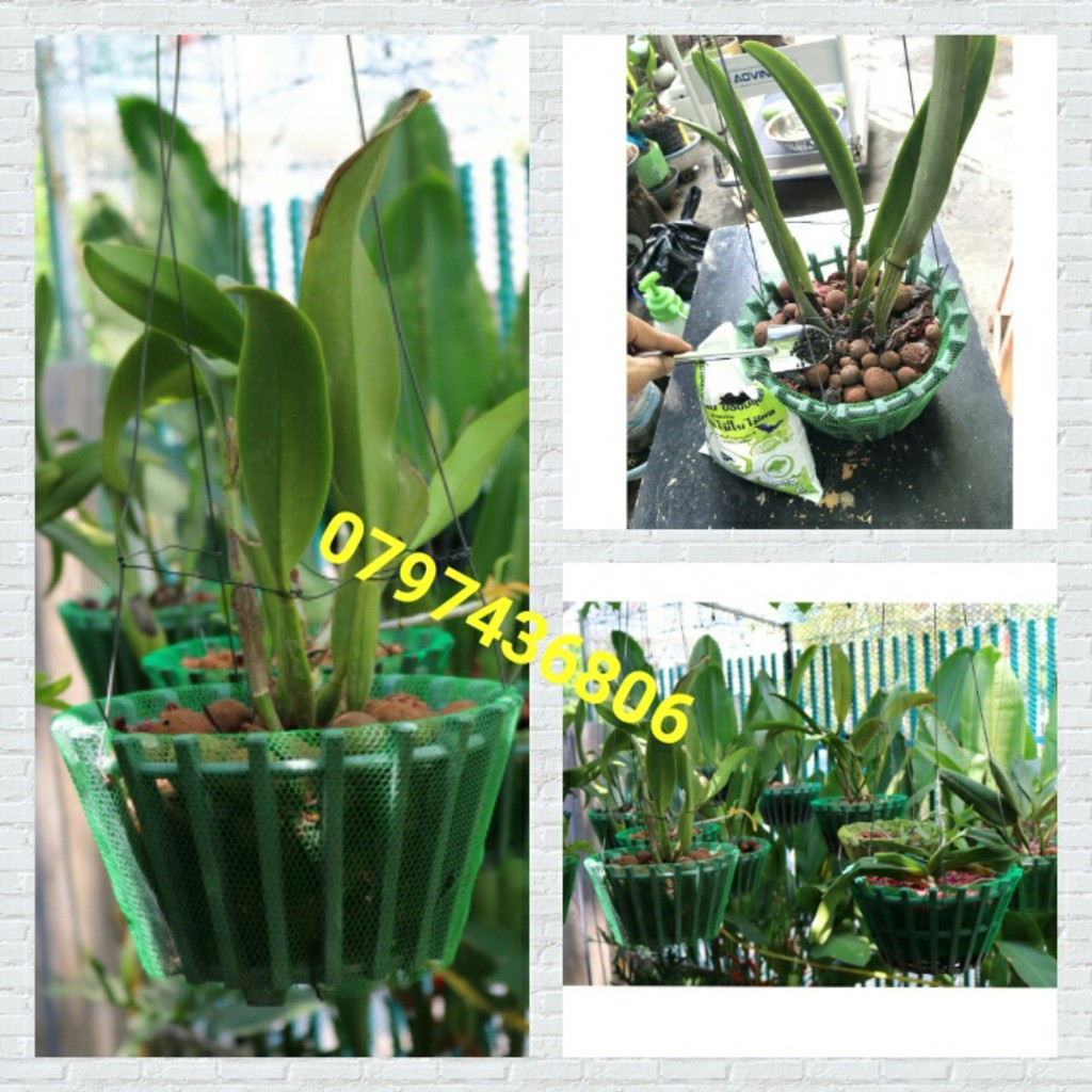 100 cái Túi Lưới đựng Hành, Tỏi, Trái Cây, bọc chậu Lan | BigBuy360 - bigbuy360.vn