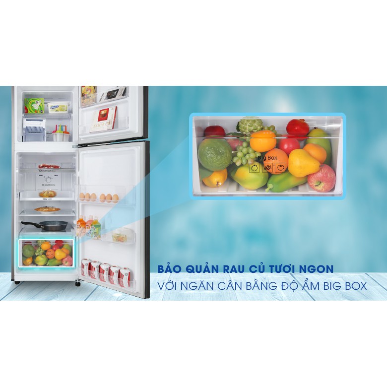 Tủ lạnh Samsung Inverter 236 lít RT22M4032BU/SV NÂU