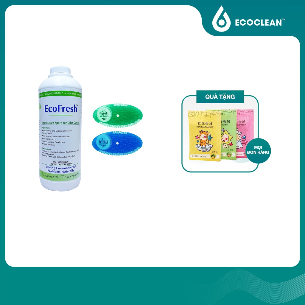 Vi Sinh Khử Mùi, Miếng Dán Thơm Mát - Combo EcoFresh, Curve Fresher - Mang Lại Hương Thơm Dễ Chịu Cho Nhà Ở, Văn Phòng