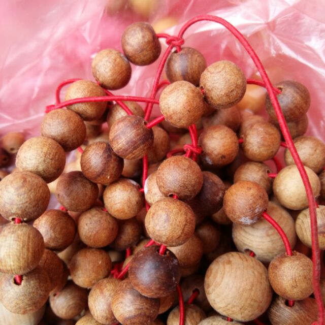 Hoàng đàn tuyết lặng sơn đây